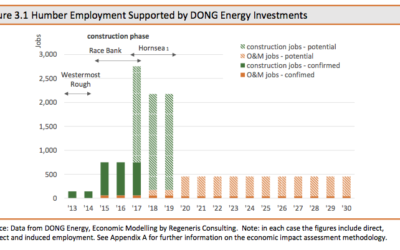 Regenis Consulting estime l’investissement de DONG Energy en East Irish Sea