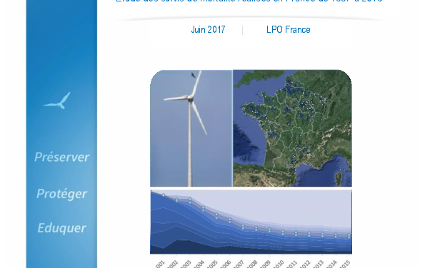 LPO – Étude sur la mortalité des oiseaux due aux parcs éoliens