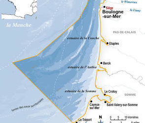 Le Gouvernement doit mettre de l’ordre pour les parcs éoliens en mer !