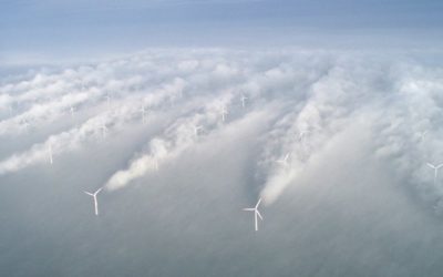 The Carbon Trust to Launch Wind Farm Control Trials Project