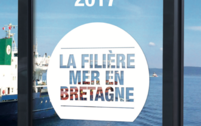 +86% d’offres d’emplois dans les services portuaires et nautiques en Bretagne