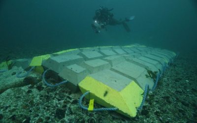 Nouvelles mesures sur l’impact des câbles sous-marins