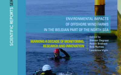 Eolien en mer : Rapport 2019 de l’Institut Royal des sciences naturelles de Belgique