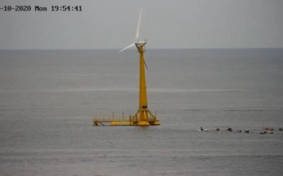 Saitec – BlueSATH, le démonstrateur éolien flottant a rejoint son site d’essai