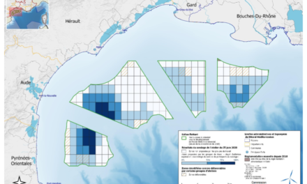 Conseil maritime de façade : L’éolien flottant en Méditerranée