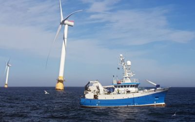 Hywind Scotland : Equinor et Marine Scotland souhaitent que les pêcheurs puissent travailler dans le parc éolien flottant