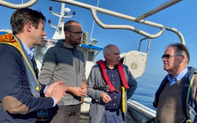 Saint-Brieuc : Trois parlementaires et un parc éolien en mer