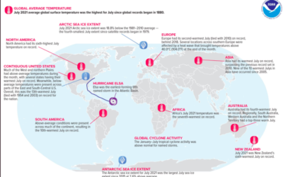 Juillet 2021 – Mois le plus chaud depuis 142 ans