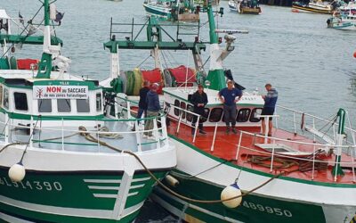 Manifestation contre les éoliennes en mer en Manche-mer du Nord : Condamnation, mais pas de suspension du permis de pêcher