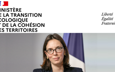 Amélie de Montchalin, ministre de la Transition écologique et de la Cohésion des territoires, Gouvernement Elisabeth Borne 1 :  Décret d’attribution