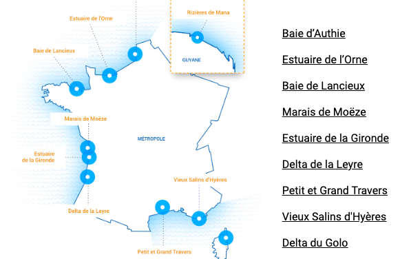 Environnement : le projet Adapto