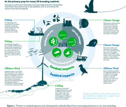 Le Rapport de la « Royal Society for the Protection of Birds (RSPB)