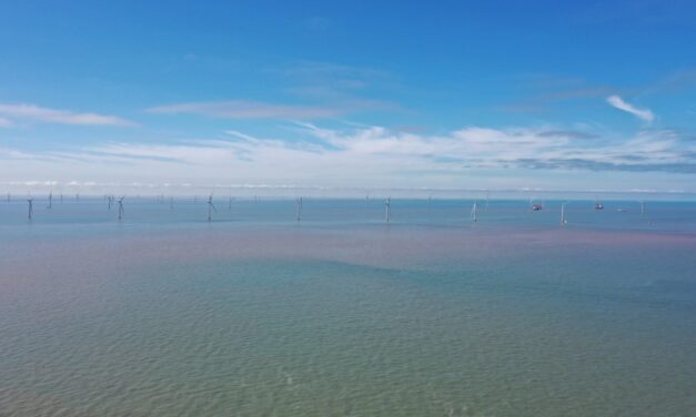 Environnement, protection du littoral et éolien en mer, un savant mélange réalisé dans le Jiangsu