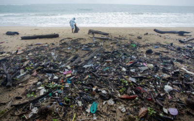 Pollution plastique : ouverture des négociations pour un instrument international juridiquement contraignant