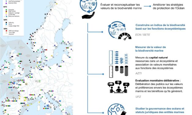 Les sciences sociales pour révéler la valeur des écosystèmes marins