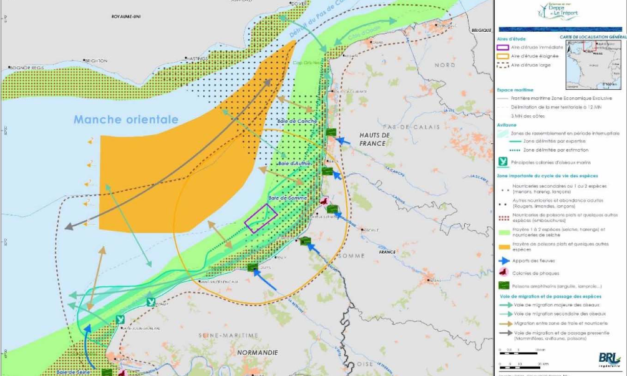 « Éoliennes en Mer de Dieppe Le Tréport » annonce de la décision finale d’investissement