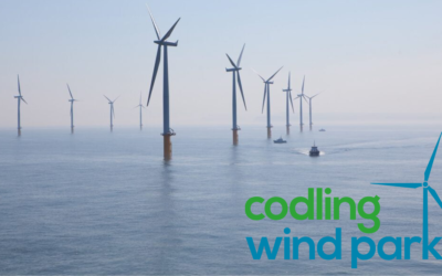 Détail sur les lauréats de la 1ère enchère irlandaise : EDF Renouvelables et Fred. Olsen SeaWind remportent la plus grande zone d’énergie éolienne en mer en Irlande – 1