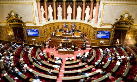 La PPE doit être votée par les parlementaires : Lettre ouverte à François Bayrou