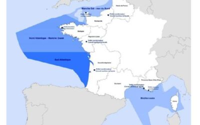 Le gouvernement annonce le lancement de la concertation dans le cadre de la planification en mer