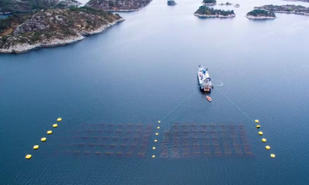 Partenariat pour évaluer la co-localisation des fermes d’algues aux côtés des parcs éoliens