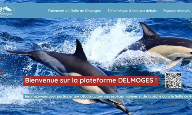 Comment limiter les captures accidentelles de dauphins ? Concertation citoyenne lancée dans le cadre du projet Delmoges – 1