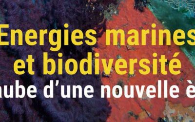 MerVeille Energie #10 – Energies marines et biodiversité