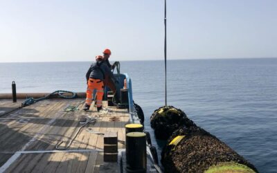 Méditerranée EFGL : La bouée d’Ecocean a été retirée
