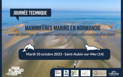 Journée technique : mammifères marins en Normandie : vers un partage des connaissances et une valorisation d’actions
