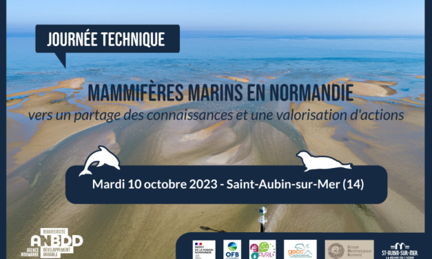 Journée technique : mammifères marins en Normandie : vers un partage des connaissances et une valorisation d’actions