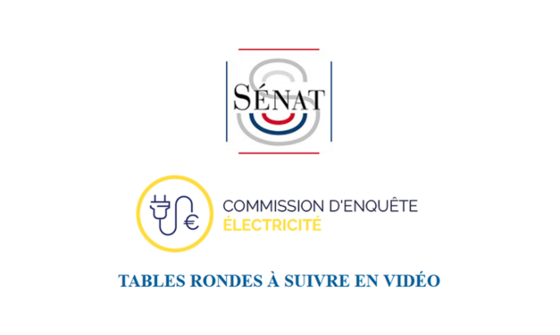 Sénat : tables rondes sur la production, la consommation et le prix de l’électricité