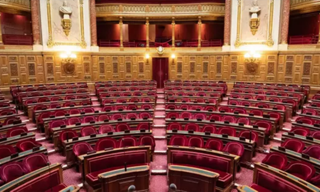 Le Sénat fait une PPE en prenant les devants sur le projet de loi sur la stratégie énergétique de la France