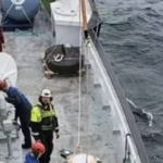 Comment se déplacent les poissons ? Une étude sur l’impact du parc éolien flottant de la mer du Nord