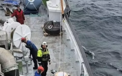 Comment se déplacent les poissons ? Une étude sur l’impact du parc éolien flottant de la mer du Nord