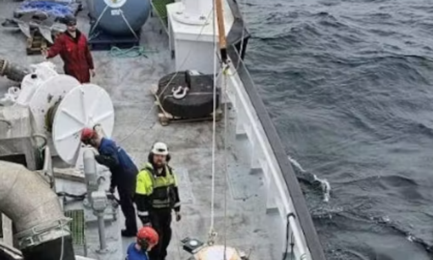 Comment se déplacent les poissons ? Une étude sur l’impact du parc éolien flottant de la mer du Nord