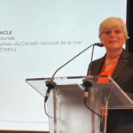 Sophie Panonacle déposera des amendements destinés à financer les stratégies locales d’adaptation face à l’érosion côtière – 1