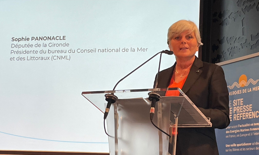 Sophie Panonacle déposera des amendements destinés à financer les stratégies locales d’adaptation face à l’érosion côtière – 1