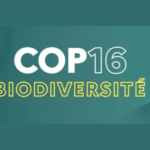 La France annonce une contribution de 5 millions d’euros au Fonds du cadre mondial pour la biodiversité (GBFF)