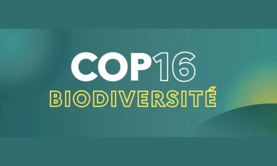 La France annonce une contribution de 5 millions d’euros au Fonds du cadre mondial pour la biodiversité (GBFF)