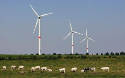 France renouvelables réagit aux supposés liens entre géobiologie et éolien