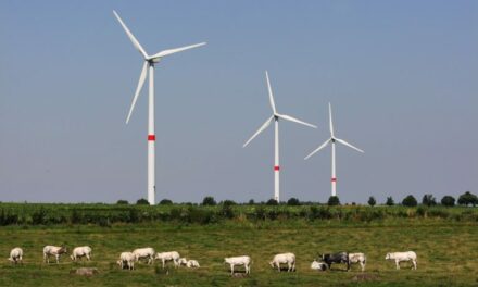 France renouvelables réagit aux supposés liens entre géobiologie et éolien