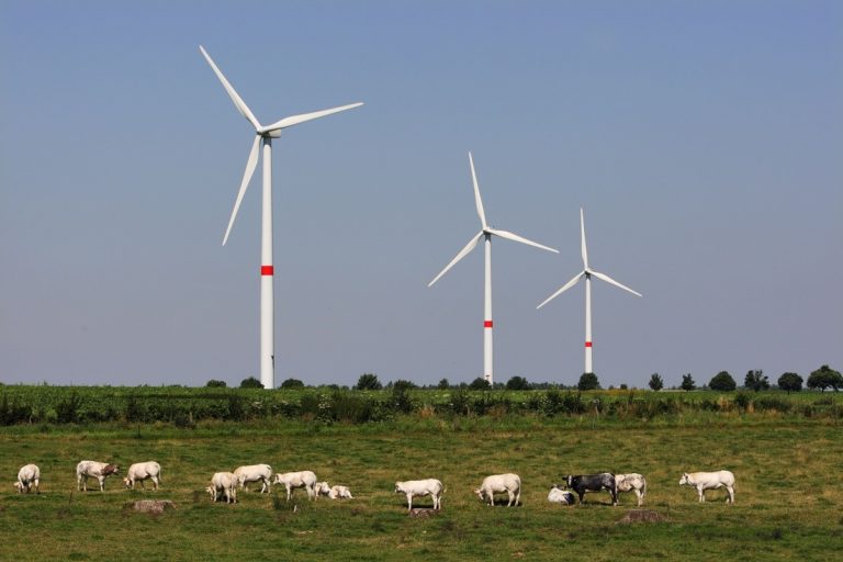 France renouvelables réagit aux supposés liens entre géobiologie et éolien