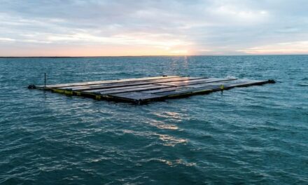 Les premiers solars flottants sont arrivés au port d’Amsterdam pour être installés dans le parc éolien offshore de la mer du Nord