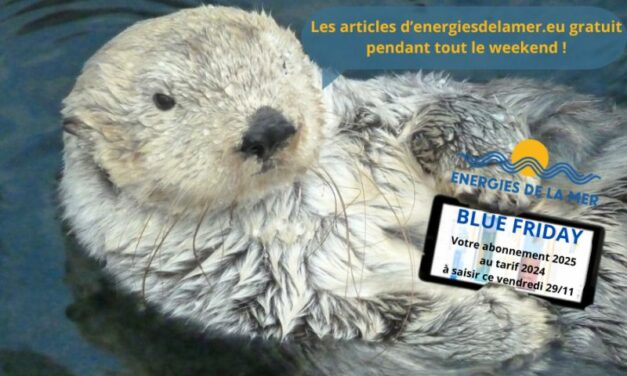 Avez-vous pensé à utiliser votre Blue Friday pour vous abonner à energiesdelamer.eu ?