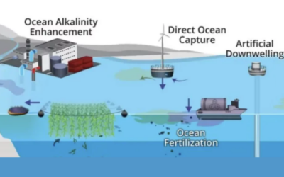 L’administration Biden et la NOAA ont publié la stratégie nationale de recherche sur l’élimination du dioxyde de carbone marin