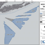 Total Energies suspend son projet éolien offshore à New York