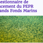 Grands fonds marins : Vous avez un mois pour répondre !