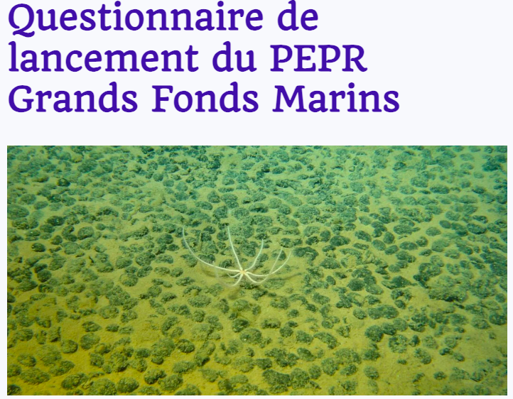 Grands fonds marins : Vous avez un mois pour répondre !