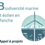 Appel à projets « Biodiversité marine et éolien en Manche »