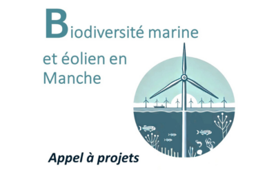 Appel à projets « Biodiversité marine et éolien en Manche »