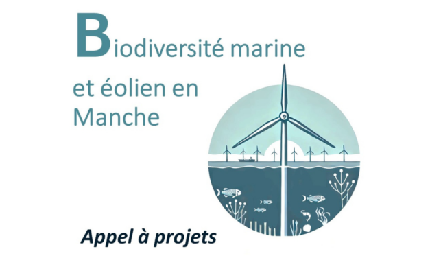 Appel à projets « Biodiversité marine et éolien en Manche »